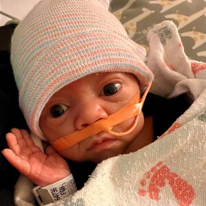 Fundraising Page: Shannan Finegan